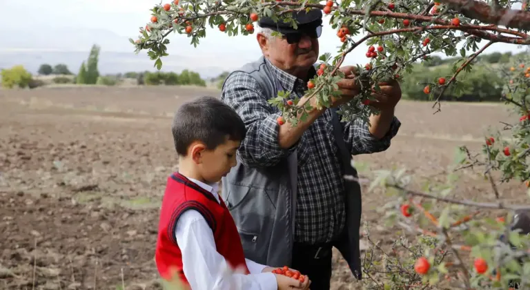 Manşet Resmi