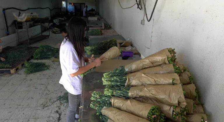 Manşet Resmi